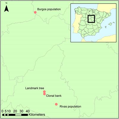 Core endophytic mycobiome in Ulmus minor and its relation to Dutch elm disease resistance